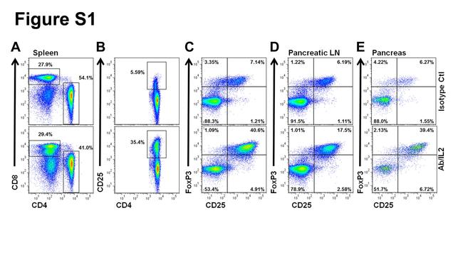 CD25 Antibody in Flow Cytometry (Flow)