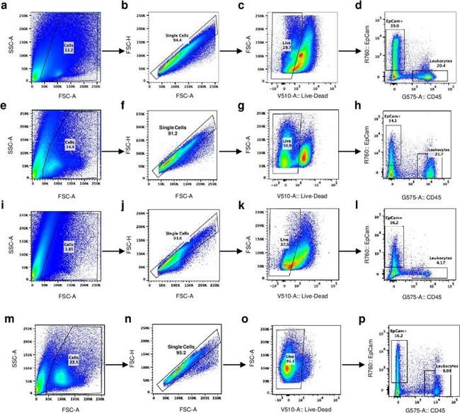 CD326 (EpCAM) Antibody in Flow Cytometry (Flow)