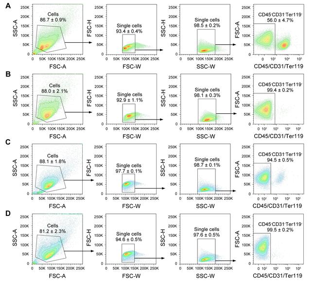 CD31 (PECAM-1) Antibody in Flow Cytometry (Flow)