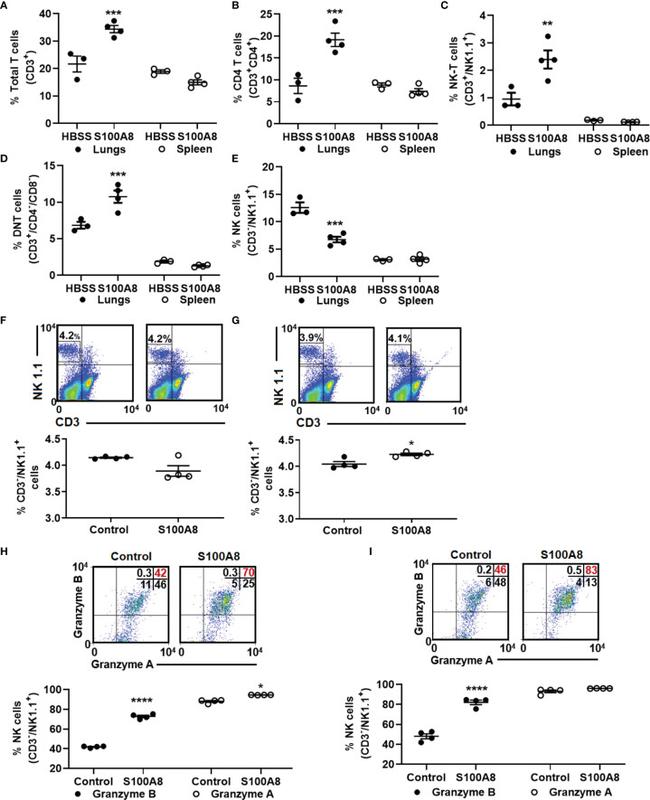 Granzyme B Antibody in Flow Cytometry (Flow)