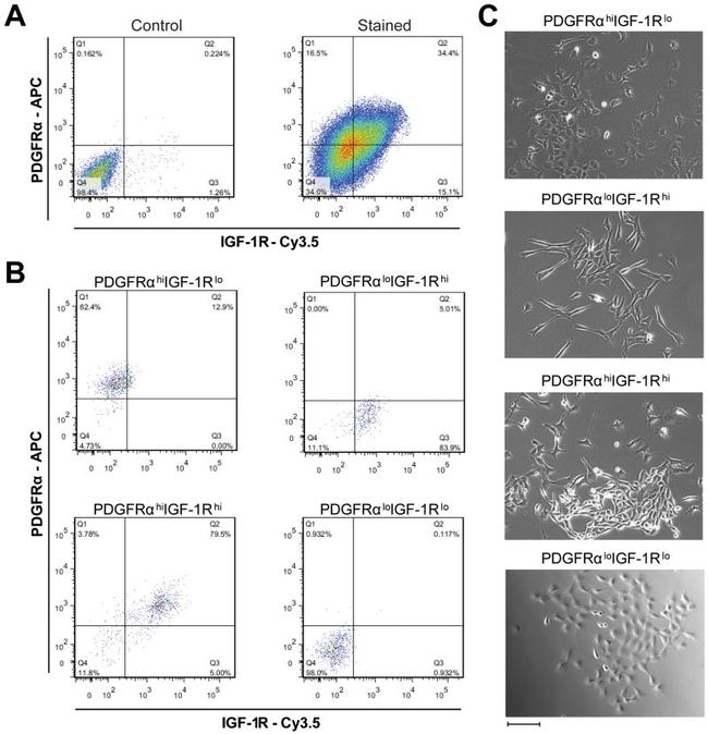 CD140a (PDGFRA) Antibody in Flow Cytometry (Flow)