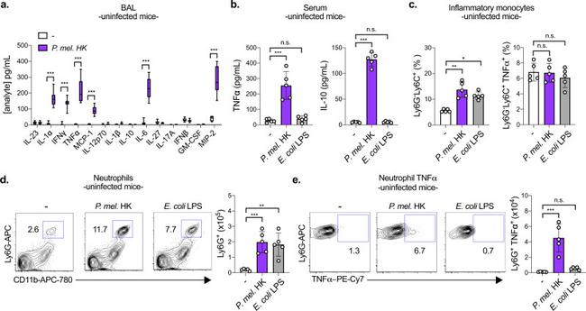 TNF alpha Antibody in Flow Cytometry (Flow)