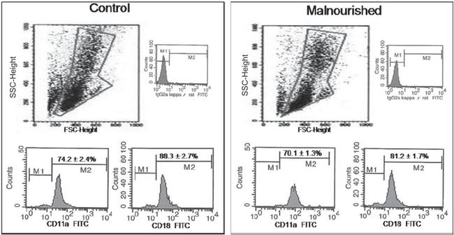 CD18 (LFA-1 beta) Antibody in Flow Cytometry (Flow)