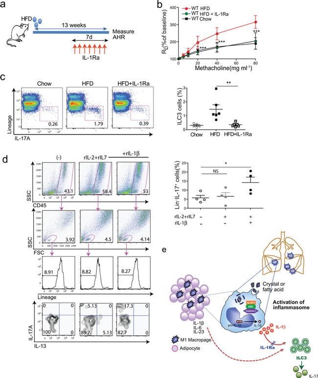 CD45 Antibody in Flow Cytometry (Flow)