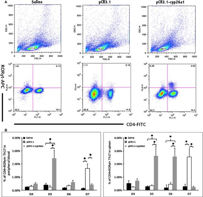 ROR gamma (t) Antibody in Flow Cytometry (Flow)