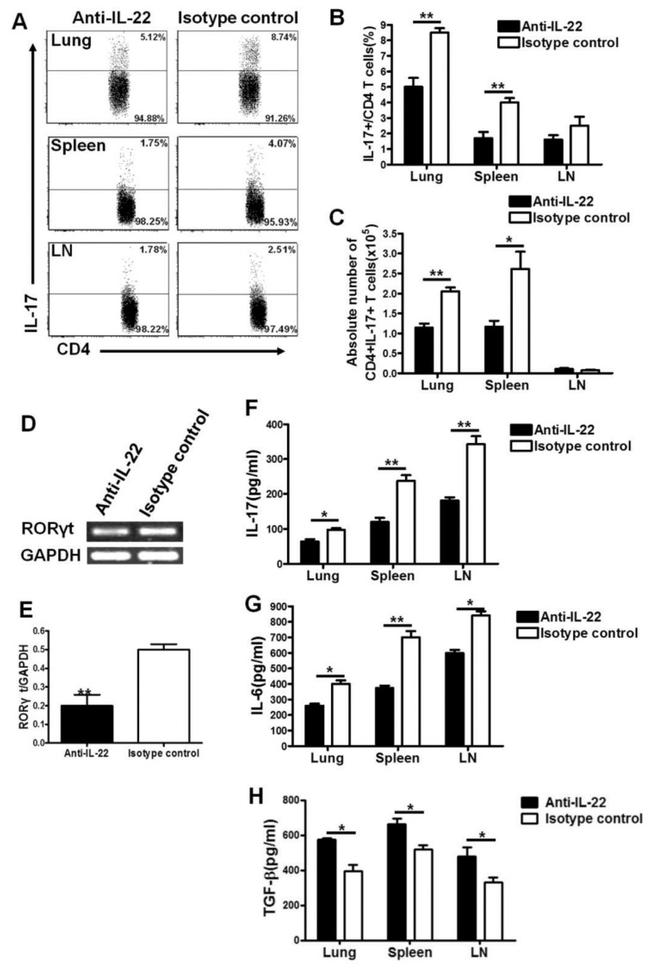 IL-22 Antibody in Flow Cytometry (Flow)