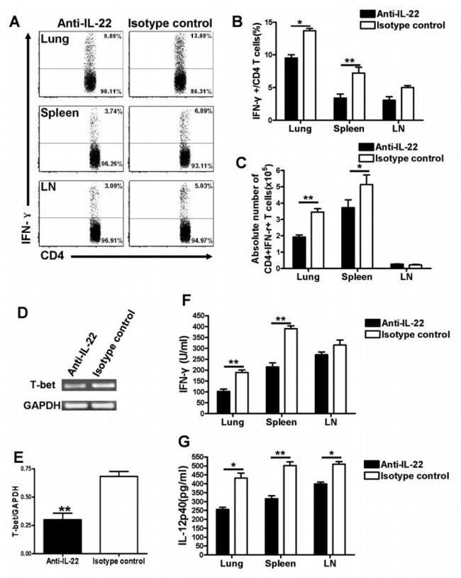 IL-22 Antibody in Neutralization (Neu)