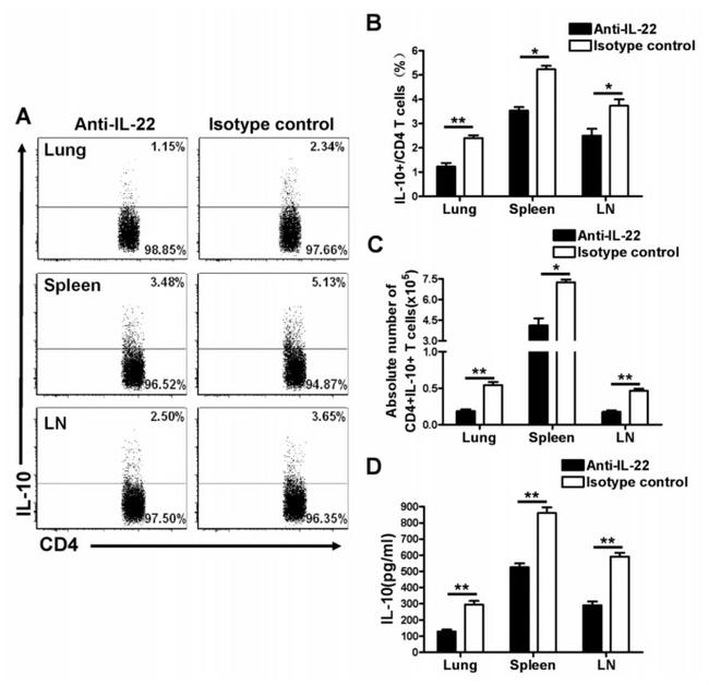 IL-22 Antibody in Flow Cytometry (Flow)