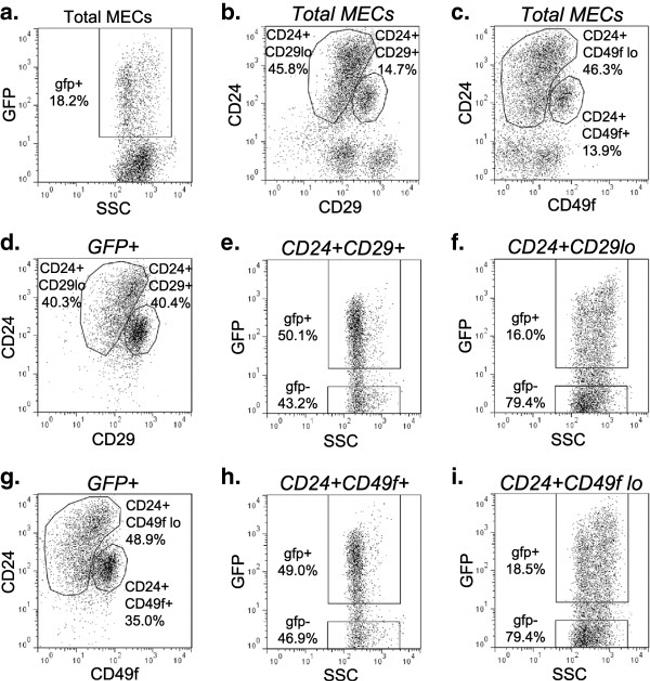 CD24 Antibody in Flow Cytometry (Flow)