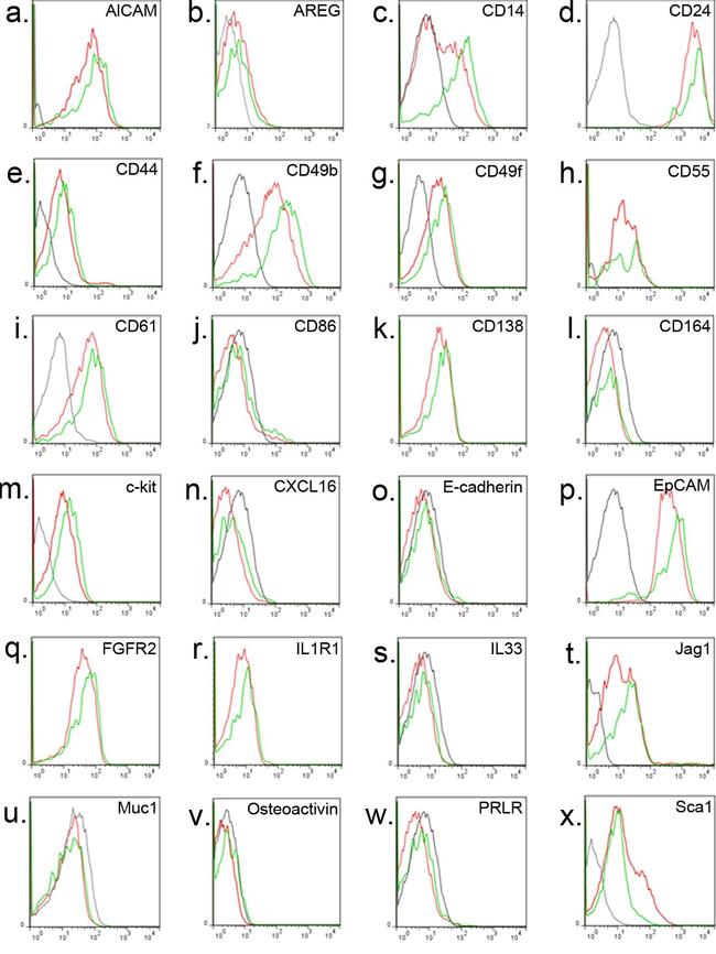 CD24 Antibody in Flow Cytometry (Flow)