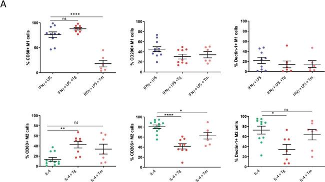 Mouse IgG (H+L) Cross-Adsorbed Secondary Antibody in Flow Cytometry (Flow)