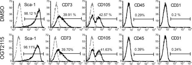 CD105 (Endoglin) Antibody in Flow Cytometry (Flow)