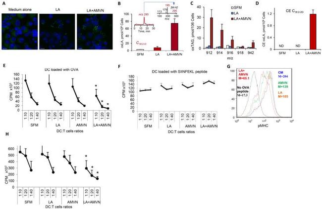 OVA257-264 (SIINFEKL) peptide bound to H-2Kb Antibody in Flow Cytometry (Flow)