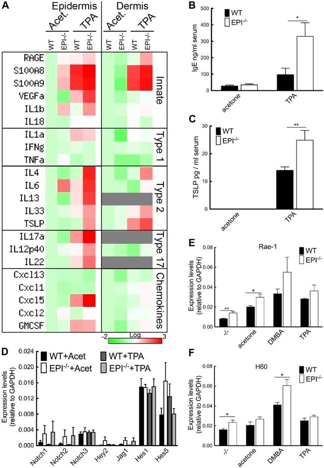 TSLP Antibody in ELISA (ELISA)