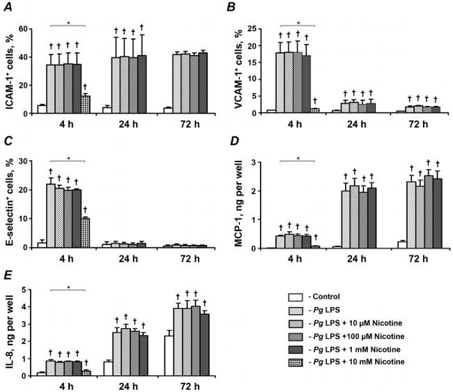 CD62E (E-selectin) Antibody in Flow Cytometry (Flow)