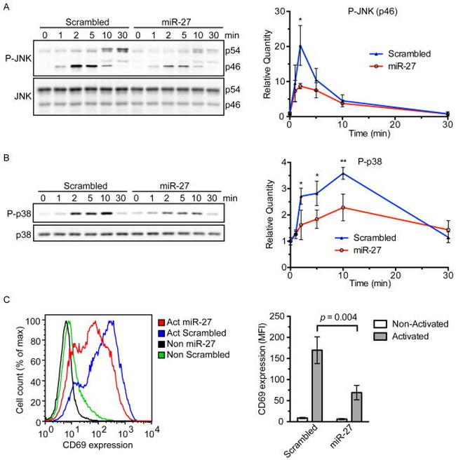 CD69 Antibody in Flow Cytometry (Flow)