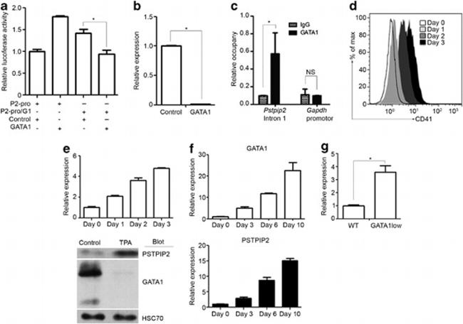 CD41a Antibody in Flow Cytometry (Flow)