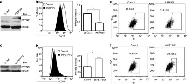 CD41a Antibody in Flow Cytometry (Flow)