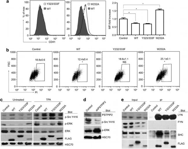 CD41a Antibody in Flow Cytometry (Flow)