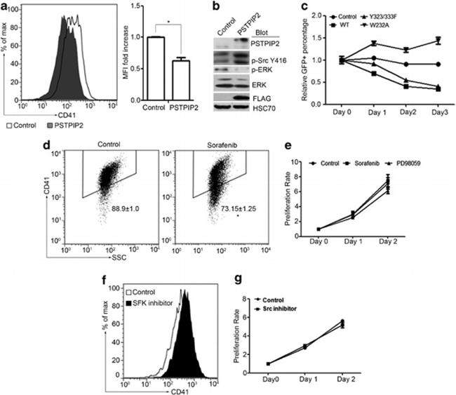 CD41a Antibody in Flow Cytometry (Flow)