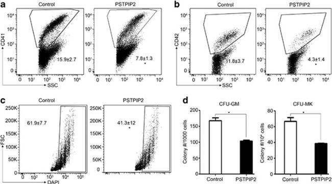 CD41a Antibody in Flow Cytometry (Flow)