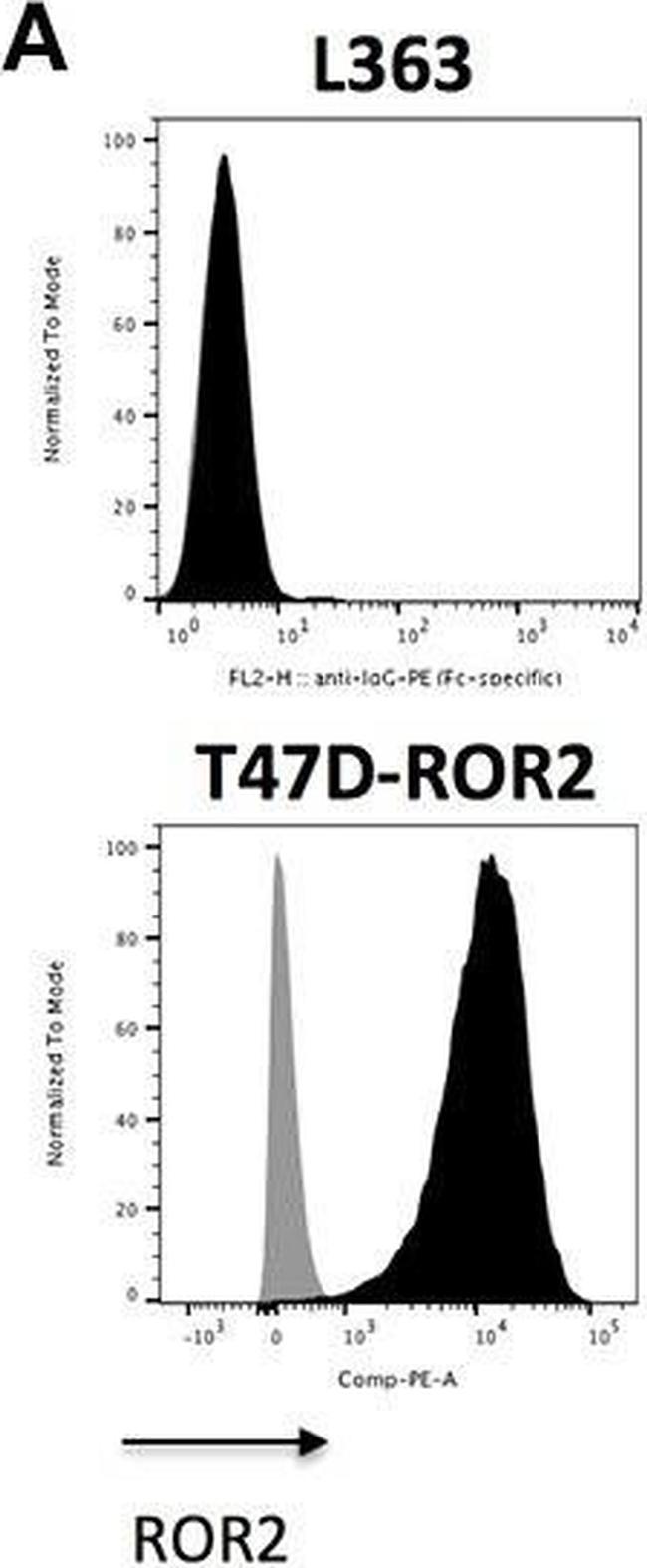 Human IgG Fc Secondary Antibody in Flow Cytometry (Flow)