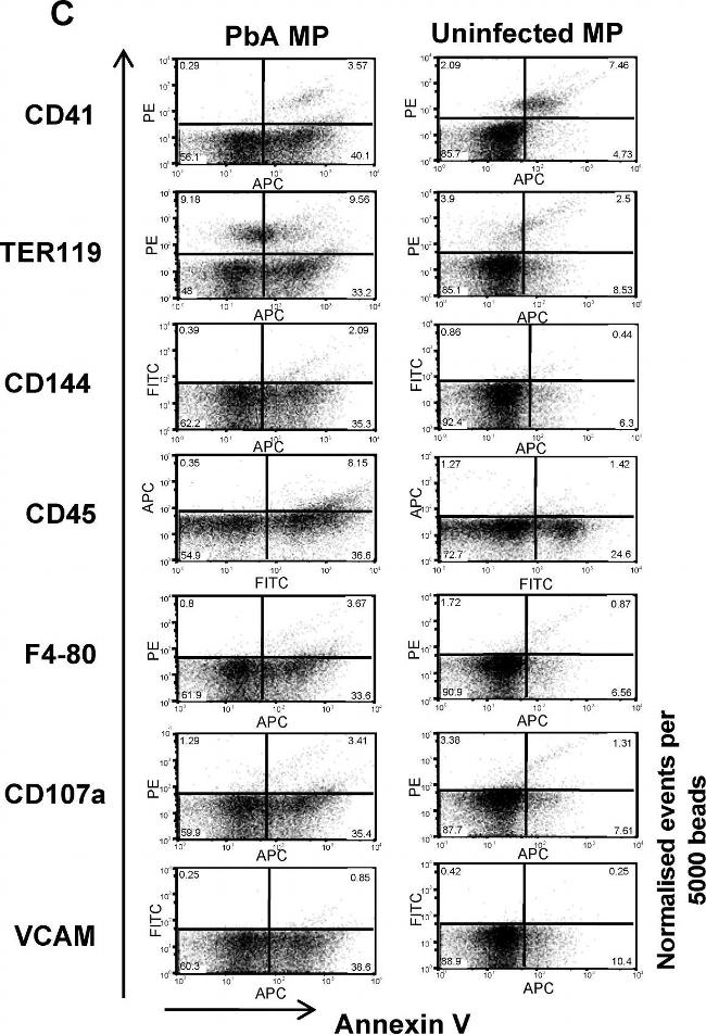 Mouse IgG (H+L) Secondary Antibody in Flow Cytometry (Flow)