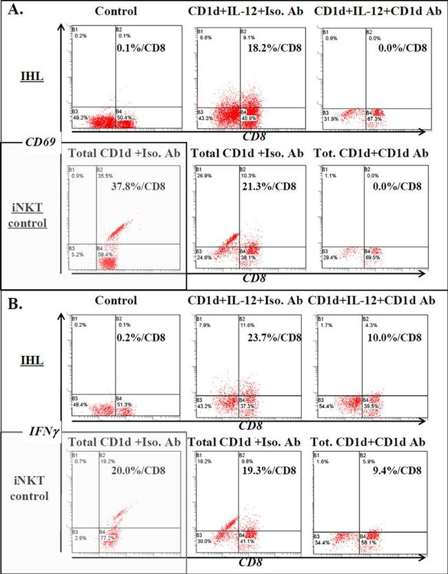 CD69 Antibody in Flow Cytometry (Flow)