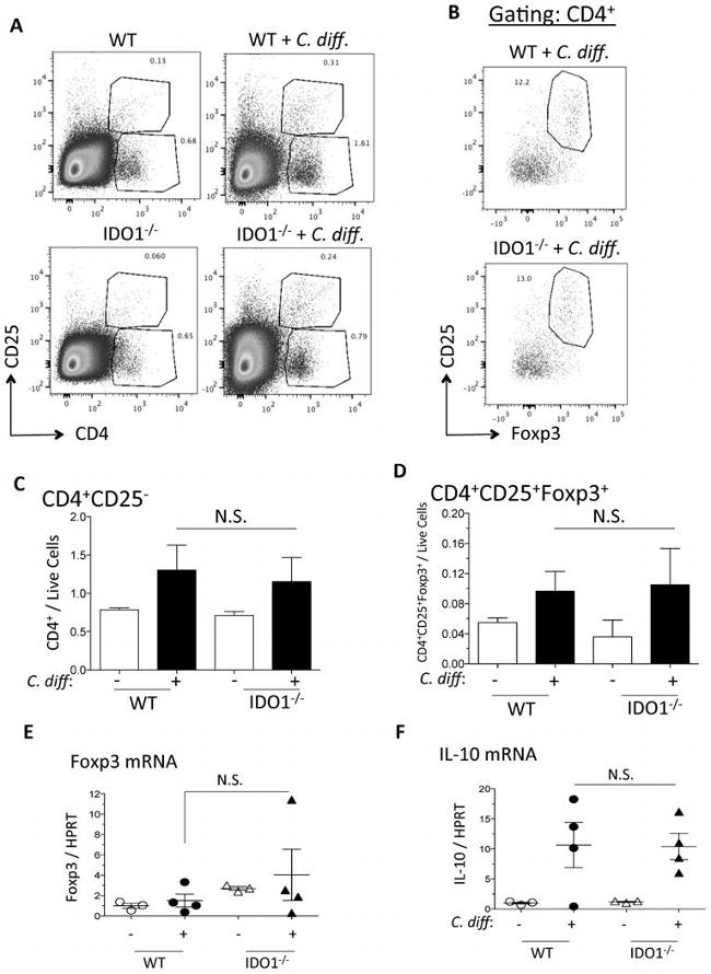 CD25 Antibody in Flow Cytometry (Flow)