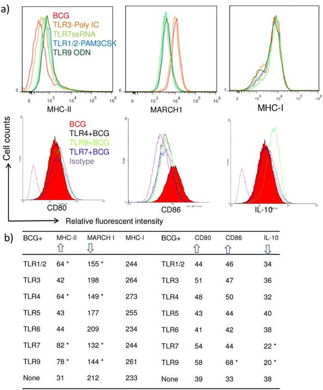 CD80 (B7-1) Antibody in Flow Cytometry (Flow)