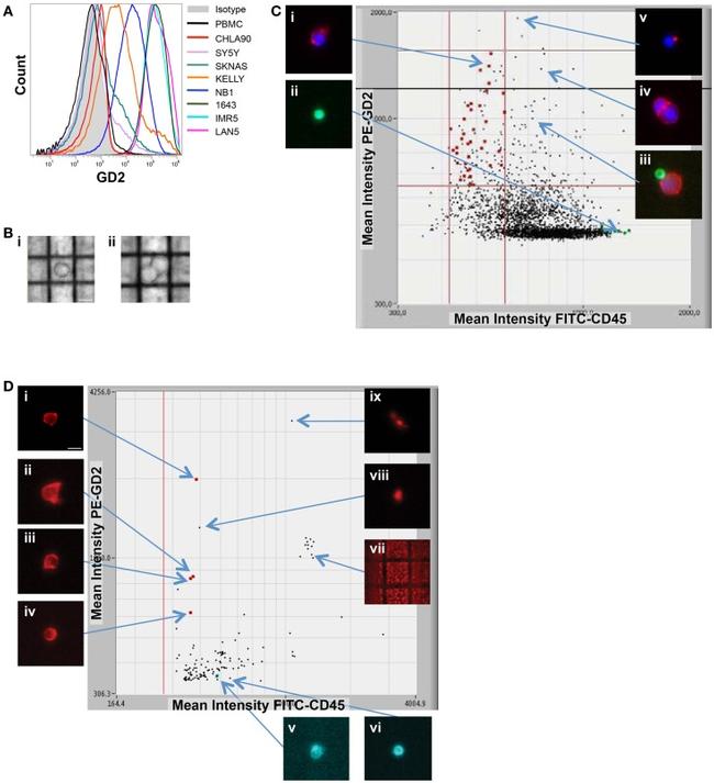 CD45 Antibody in Immunocytochemistry, Flow Cytometry (ICC/IF, Flow)