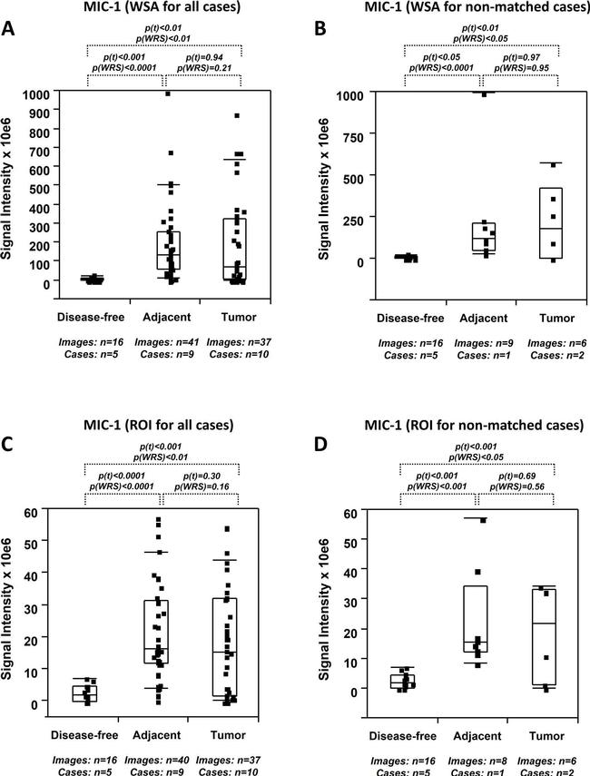 Rabbit IgG Isotype Control in Immunohistochemistry (Paraffin) (IHC (P))