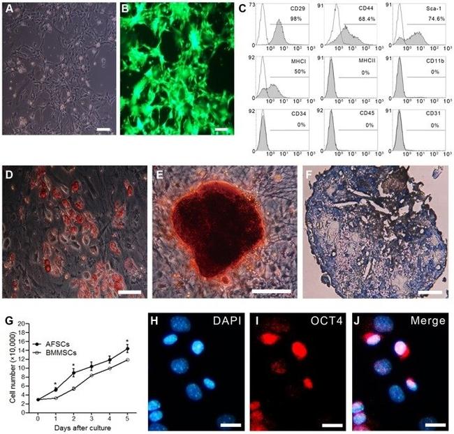 CD29 (Integrin beta 1) Antibody in Flow Cytometry (Flow)