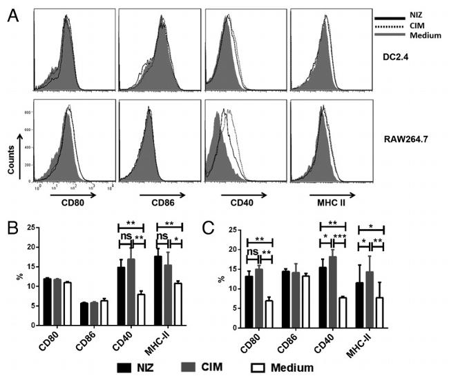 CD80 (B7-1) Antibody in Flow Cytometry (Flow)