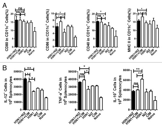 IL-10 Antibody in Flow Cytometry (Flow)