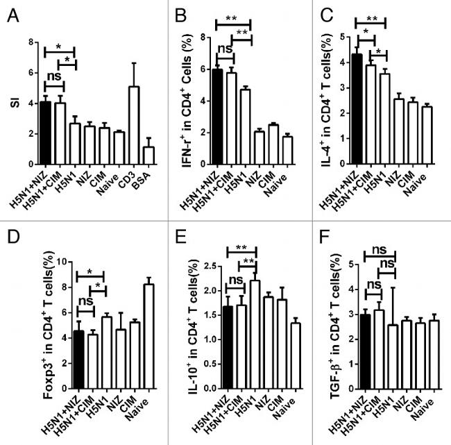 IL-10 Antibody in Flow Cytometry (Flow)