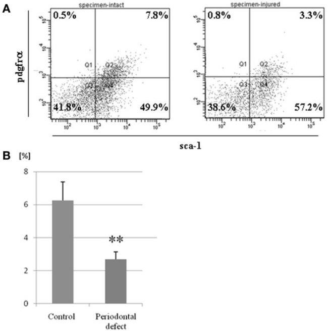 CD140a (PDGFRA) Antibody in Flow Cytometry (Flow)