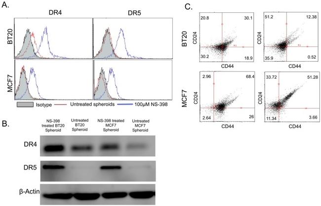 CD262 (DR5) Antibody in Flow Cytometry (Flow)