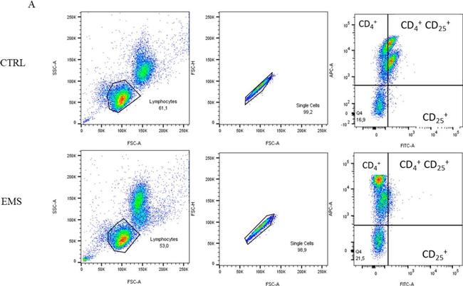 Mouse IgG (H+L) Highly Cross-Adsorbed Secondary Antibody in Flow Cytometry (Flow)