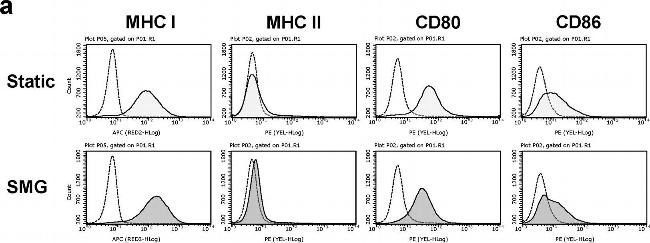 Armenian Hamster IgG Isotype Control in Flow Cytometry (Flow)