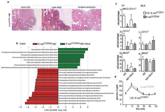 CD11c Antibody in Flow Cytometry (Flow)