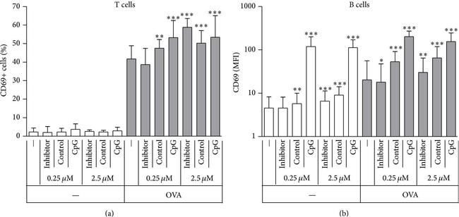 Rat IgG2a kappa Isotype Control in Flow Cytometry (Flow)