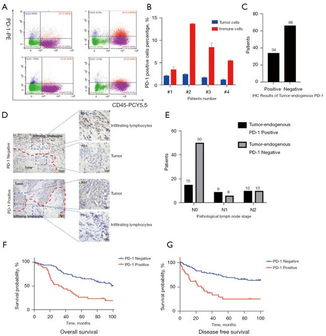 CD45 Antibody in Flow Cytometry (Flow)