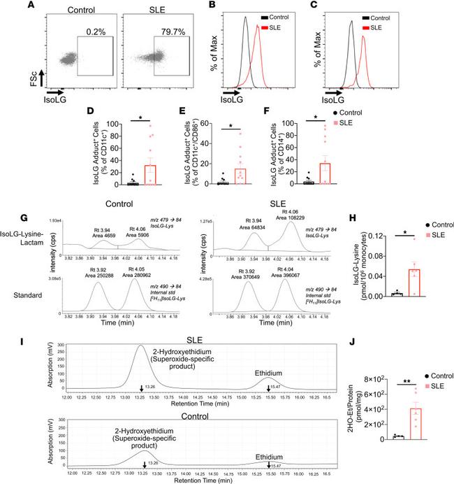 CD11c Antibody in Flow Cytometry (Flow)