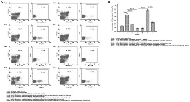 IL-17A Antibody in Flow Cytometry (Flow)