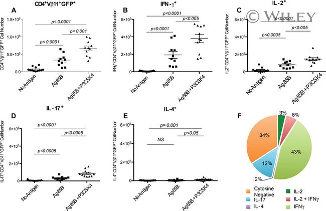 IL-2 Antibody in Flow Cytometry (Flow)