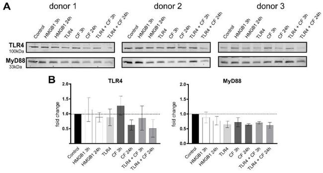 CD284 (TLR4) Antibody in Neutralization (Neu)