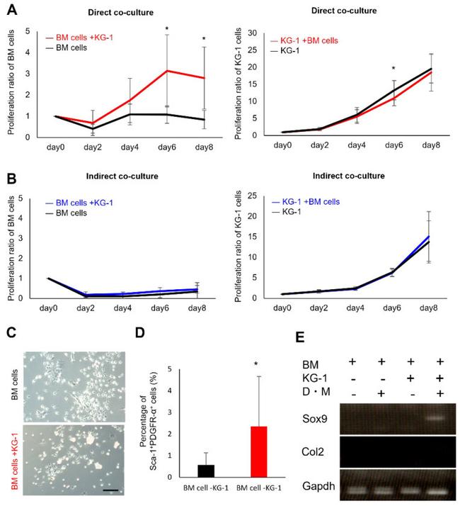 CD140a (PDGFRA) Antibody in Flow Cytometry (Flow)