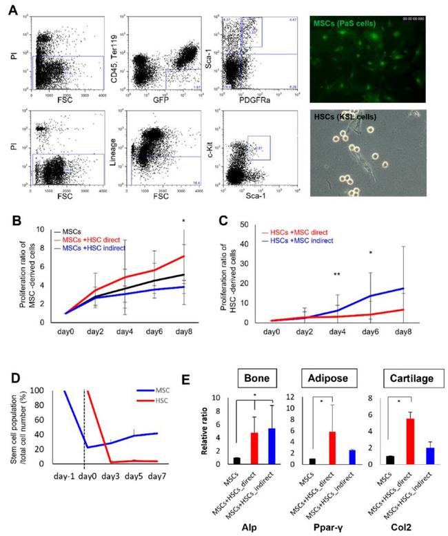 CD45 Antibody in Flow Cytometry (Flow)