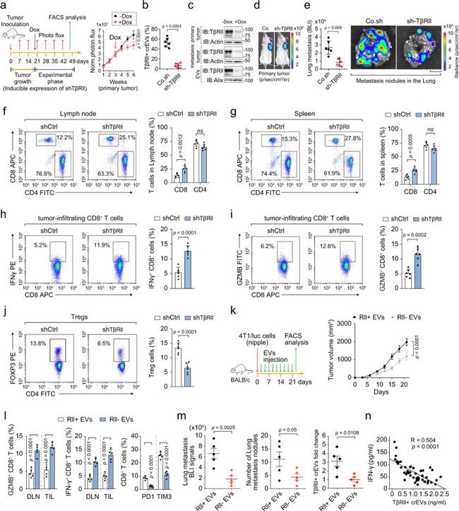 CD4 Antibody in Flow Cytometry (Flow)